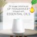 Air Wick Essential Mist Diffuser + 1 Refill, Mandarin & Sweet Tangerine Air Freshener - Buy Online on GoSupps.com