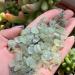 Natural Crystal Rough Specimen Natural Grape Stone Crystal ChakraMedaion Gemstone Reiki Tumble Gravel for DecorationStone (Color : Multicolor Size : 50G) - Buy Online on GoSupps.com