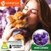 Relaxivet Cat Calming Diffuser Refill - Feline Stress Relief with Pheromones - Anti-Anxiety Solution for Cats - 2 Refills (Diffuser not Included) - Buy Online on GoSupps.com