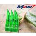 99% Purity Aloe Vera Gel for Face Body and Hair & Soothing Moisture After-Sun Aftershave Dry Skin (250ml) 250 ml (Pack of 1) - Buy Online on GoSupps.com