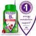 Force Factor Total Beets Blood Pressure Support with Grapeseed Extract & Vitafusion Extra Strength B12 for Energy Cherry Flavored Gummies 60 Count (Pack of 1) Blood Pressure Soft Chews+ Vitamin B12 Gummy - Buy Online on GoSupps.com