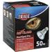 Trixie Moonlight Heat Lamp 35W | 63x100mm White | Ideal for Reptiles and Amphibians - Buy Online on GoSupps.com