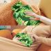 Buy Tropical Chameleon Hot Water Bottle with Cover - 2L for Pain Relief & Menstrual Cramps | International Shipping - Buy Online on GoSupps.com