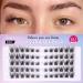 Cluster Lashes 6-14mm Cluster Eyelash Extensions Wispy Individual Lashes CC Curl False Eyelashes DIY at Home Natural Lashes by Zegaine 60Pcs Erato