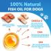 Omega 3 Fish Oil for Dogs - Better Than Salmon Oil for Dogs - Dog Fish Oil EPA DHA- Fish Oil Liquid for Pets - Skin and Coat Food Supplement for Dogs - Allergy Itch Shedding Dry Skin 8 OZ 8 Oz Yellow - Buy Online on GoSupps.com