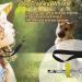 SSRIVER Puppy Training Kit 6 Pcs Adjustable Puppy Doorbells for Dogs Training Bag Whistle to Control Stop Barking Dog Bowl and Poop Bag Pet Trainer Dog Training Set Clicker Grey - Buy Online on GoSupps.com