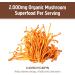 Om Mushroom Superfood Cordyceps Organic Powder - 3.5 oz for Energy, Stamina & Sports Performance - Buy Online on GoSupps.com