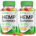 (2 Pack) Fortin Hemp Gummies Fortin Advanced Hemp Gummy Formula Fortin Hemp Gummies Vitamin Complex Support Supplement Fortin Hemp Gummy All Natural Maximum Strength Dietary Formula (120 Gummies)