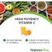 NaturesPlus Orange Juice Chewable Vitamin C 500mg - 90 Tablets | Immune & Vascular Health Support | Antioxidant Supplement | Vegetarian & Gluten-Free - Buy Online on GoSupps.com