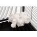 Lixit Bird & Small Animal Nesting Material 2oz - Natural Fiber Bedding - Buy Online on GoSupps.com