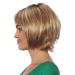 Degenhardt MAILAND Comfort Plus Wig - High-Quality Synthetic Hair in Hazelnut Brown/Golden Blonde Highlights | International Shipping Available - Buy Online on GoSupps.com