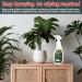 Silk Plant Cleaner Spray No Wipe | Best Artificial Plant & Silk Flower Cleaner | 16.91 Fl oz Dust Remover - Buy Online on GoSupps.com
