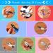 8 Pcs Jewelry Making Pliers Tool Kit for DIY | Needle Nose, Round Nose, Wire Cutters, Crimping Pliers, Bent Nose, End Nippers, Bail Making, Nylon Pliers - Multicolor - Buy Online on GoSupps.com