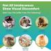 5Strands Pet Food and Environmental Intolerance Test | Home Sensitivity Kit for Dogs & Cats | Hair Sample Collection | 380 Items Tested | Results in 7 Days - Buy Online on GoSupps.com