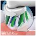 Oral-B Vitality Pro Electric Toothbrush - 3 Cleaning Modes for Optimal Dental Care | Ideal Gift for Men & Women - Buy Online on GoSupps.com