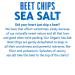 Rhythm Superfoods Organic Salted Beet Chips | 1.4 Oz (Pack of 4) | Vegan/Gluten-Free Snacks - Buy Online on GoSupps.com