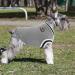 Cozy Winter Dog Sweaters | Soft & Warm Knitted Coats for Small to 4XL Pets - Buy Online on GoSupps.com