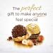 Ferrero Rocher Fine Hazelnut Chocolates Gift Box 48 Count 576 Packs 490.9 Kilogram - Buy Online on GoSupps.com