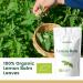 Lemon Balm Tea Organic 100g (50 Cups) | Organic Lemon Balm Leaves Clean and Dried REPLANTEA - Buy Online on GoSupps.com