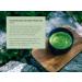 AAA Grade Matcha Green Tea Powder (50g) for Focus & Energy - 50+ Servings - Perfect for Matcha Latte's - Premium Quality Pure Leaf Matcha - Buy Online on GoSupps.com