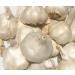 Kejora Fresh Garlic Bulbs - Pack of 5 Bulbs for Flavourful Cooking - Buy Online on GoSupps.com