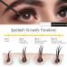 Premium 5ml Eyelash Growth Serum for Thicker, Faster, Healthier Eyelashes - Non-Irritating Formula - Buy Online on GoSupps.com