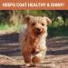 SKIPPER'S Fresh Scottish Salmon Oil for Pets - 100% Pure Omega 3, 6 & 9 Fish Oil Supplement | Promotes Healthy Skin, Coat & Joints - 250 ml - Buy Online on GoSupps.com