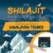 Inc Products Shilajit resin from the Pamir Mountains Pure Stong Shilajit resin rich in minerals and fulvic acid to strengthen the immune system 100 pure Himalayan Shilajit - Buy Online on GoSupps.com