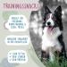 Buy Training Bones Turkey with Pomegranate & Sweet Potato - 1kg Bucket - Healthy Dog Treats | International Shipping Available - Buy Online on GoSupps.com