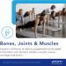 Pure Encapsulations Joint Complex - 60 Capsules | Supports Joint Mobility, Comfort & Cartilage Health | Once-Daily Supplement - Buy Online on GoSupps.com
