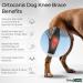 Ortocanis Kniebandage f r Hunde Rechter Hinterlauf Gr e XS | Bandage bei Kreuzbandverletzungen Patellaluxation & Osteoarthritis - Buy Online on GoSupps.com