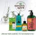 Nature's Spirit Scalp Soothing Tea Tree Oil Shampoo - 2.5 Ounce | Soothes Itchy Scalp | Buy Online Internationally - Buy Online on GoSupps.com