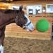 Signature Horsemen's Pride 14-Inch Horse Jolly Tug Blue one size - Buy Online on GoSupps.com