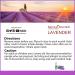 Himalayan Pink Salt Aromatherapy Nasal Inhaler with Lavender Essential Oil for Clear Airways - 0.68 oz - Buy Online on GoSupps.com
