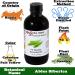Fir Needle Essential Oil - 4 oz GC/MS Tested - Pure Aromatherapy in Durable Amber Glass Bottle - Buy Online on GoSupps.com