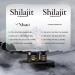Shilajit D EXCEPTION Nha 50g R SINE ARTISANALE GRADE OR FILTRATION 40 JOURS HAUTE CONCENTRATION EN ACIDE FULVIQUE (+75%) TEST PAR DEUX LABORATOIRES Origine HIMALAYA PUR - Buy Online on GoSupps.com