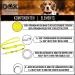 DDOXX Reflective Nylon Dog Leash | 2m 3-Way Adjustable for All Dog Sizes - M Yellow | Durable & Safe Dog Walking Gear - Buy Online on GoSupps.com