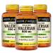 MASON NATURAL Valerian Root 500 mg - Natural Sleep Aid Promotes Healthy and Restful Sleep Herbal Supplement 60 Capsules (Pack of 3)