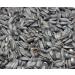 Bird s Garden sunflower seeds black 10 kg bird food winter food