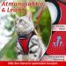 Rabbitgoo Adjustable Cat Dishes Set with Leash - Reflective Stripes for Cats & Kittens | Red M (1 Pack) - Buy Online on GoSupps.com