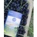 JUST T Nordic Blueberry Premium Loose Leaf Tea (125g) | Organic Fruit Tea Infused with Forest Berries | Organic Loose Tea Organic High-Grown Tea in a Sustainable Storage Tin for All Tea Lovers Nordic Blueberry 125 g - Buy Online on GoSupps.com