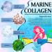 Under Eye Patches (18 Pairs) - Anti-Aging Eye Mask with Marine Collagen & Hyaluronic Acid for Dark Circles & Puffiness - Buy Online on GoSupps.com