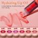VolksRose 6pcs Lip Gloss Oil Set - Flavored & Hydrating Lip Glow Oil for Teens & Women | Nourishing Tinted Lip Gloss Packs for Dry Lips - Buy Online on GoSupps.com