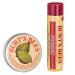 Shop Burt's Bees 2-Part Moisturizing Gift Set | Natural Pomegranate Lip Balm & Lemon Butter Cream - Perfect for Hydration - Buy Online on GoSupps.com