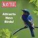 Kaytee Wild Bird Food 10lb Bag - Premium Quality Feed for Birds - Buy Online on GoSupps.com