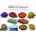 Black Diamond Pigments 2TONE Series Variety Pack 18 - 10 Colors Mica Powder Pigment Set for Epoxy Paint Art - Buy Online on GoSupps.com