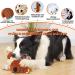 Petcronies Big Dog Toys - Tug-of-War & Cuddly Interactive Plush Squeaky Toys for Small Medium & Large Dogs - Relieve Boredom & Enhance Playtime (Brown) - Buy Online on GoSupps.com