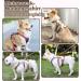Multi-Purpose Dog Harness & Leash Set - Outbreak-Proof Anti-Train Safety Harness for Small & Medium Dogs (Pink M) - Buy Online on GoSupps.com