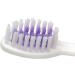 Buy Sunstar GUM 124 Soft Orthodontic Toothbrush for Braces - Pack of 3 | International Shipping Available - Buy Online on GoSupps.com
