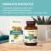 Himalaya Rhodiola for Energy & Stress Relief - 250 mg 60 Vegan Capsules Enhance Exercise Endurance - Buy Online on GoSupps.com